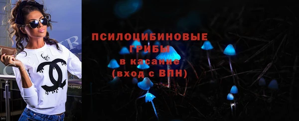 дурь Арсеньев