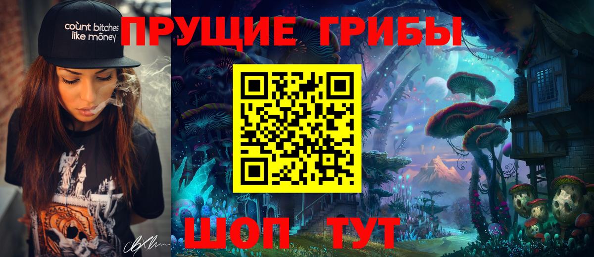 Псилоцибиновые грибы GOLDEN TEACHER Междуреченск
